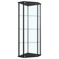 Zenobia 4-shelf Curio Cabinet Display Case Black