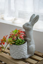 Meridian Trade Co Decorative Cement Rabbit Planter
