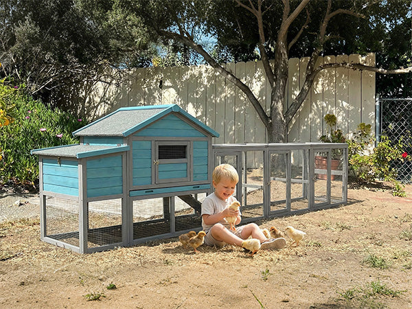 141" Large Wooden Chicken Coop with Nesting Box and Wire Fence