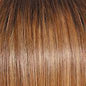 Raquel Welch Alpha Wave 16" Top Piece Hair Topper Hairpiece