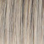 Raquel Welch Alpha Wave 16" Top Piece Hair Topper Hairpiece