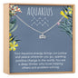 Aquarius  Zodiac Gift Necklace