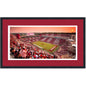 Framed Donald W. Reynolds Razorback Stadium Arkansas Razorbacks 16x24 NCAA Football Photo Professionally Matted