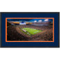 Framed Jordan-Hare Stadium Auburn Tigers 16x24 NCAA Football Photo Professionally Matted