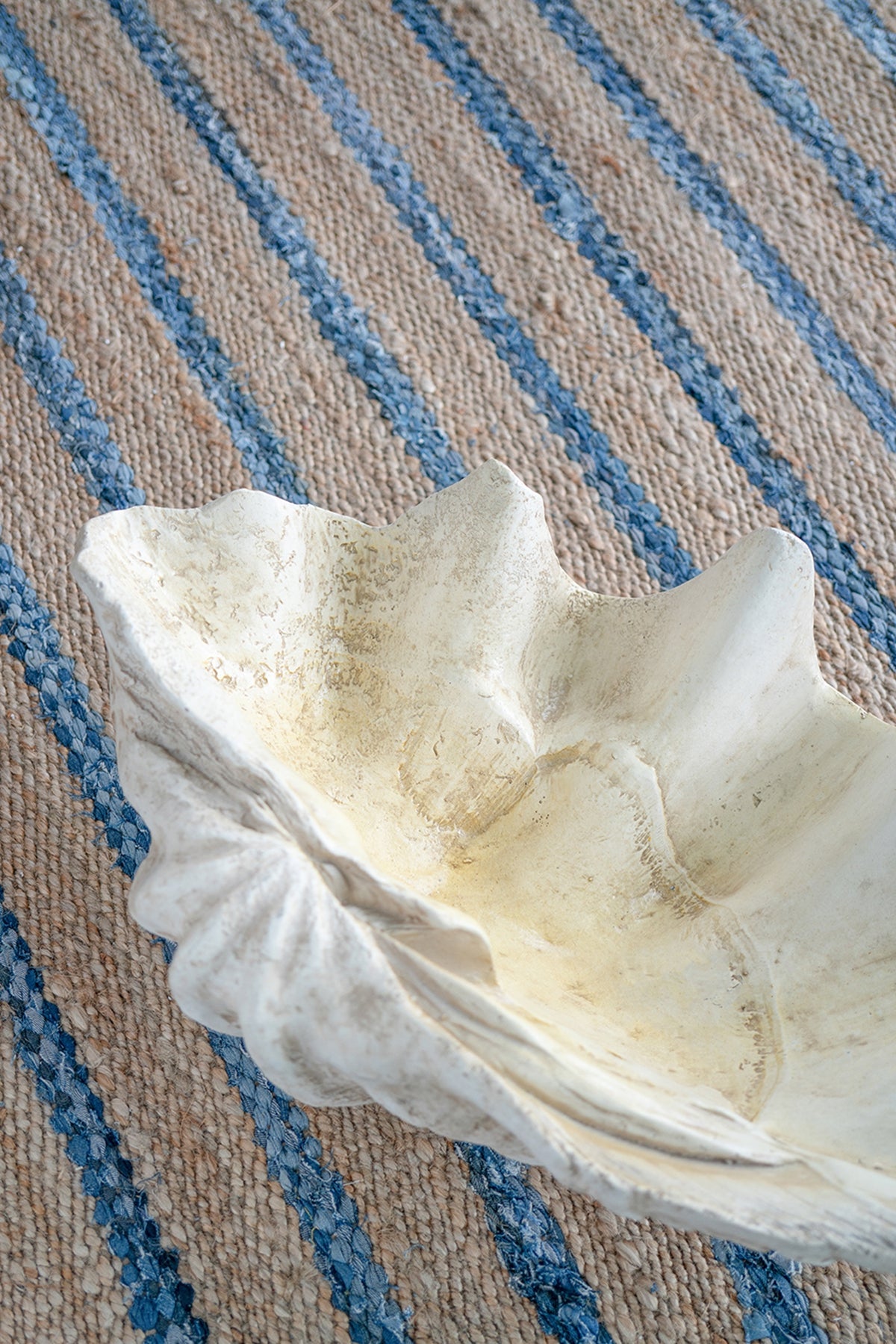 Large Clam Shell Accent 25.3x16.5x8.5"
