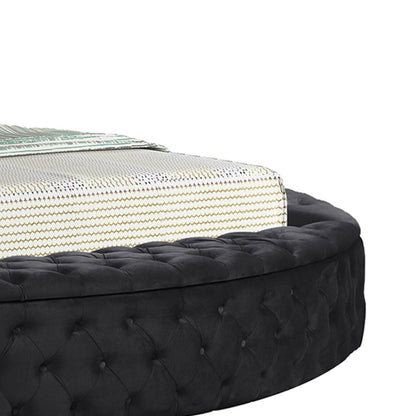 Hazel - Storage Bed
