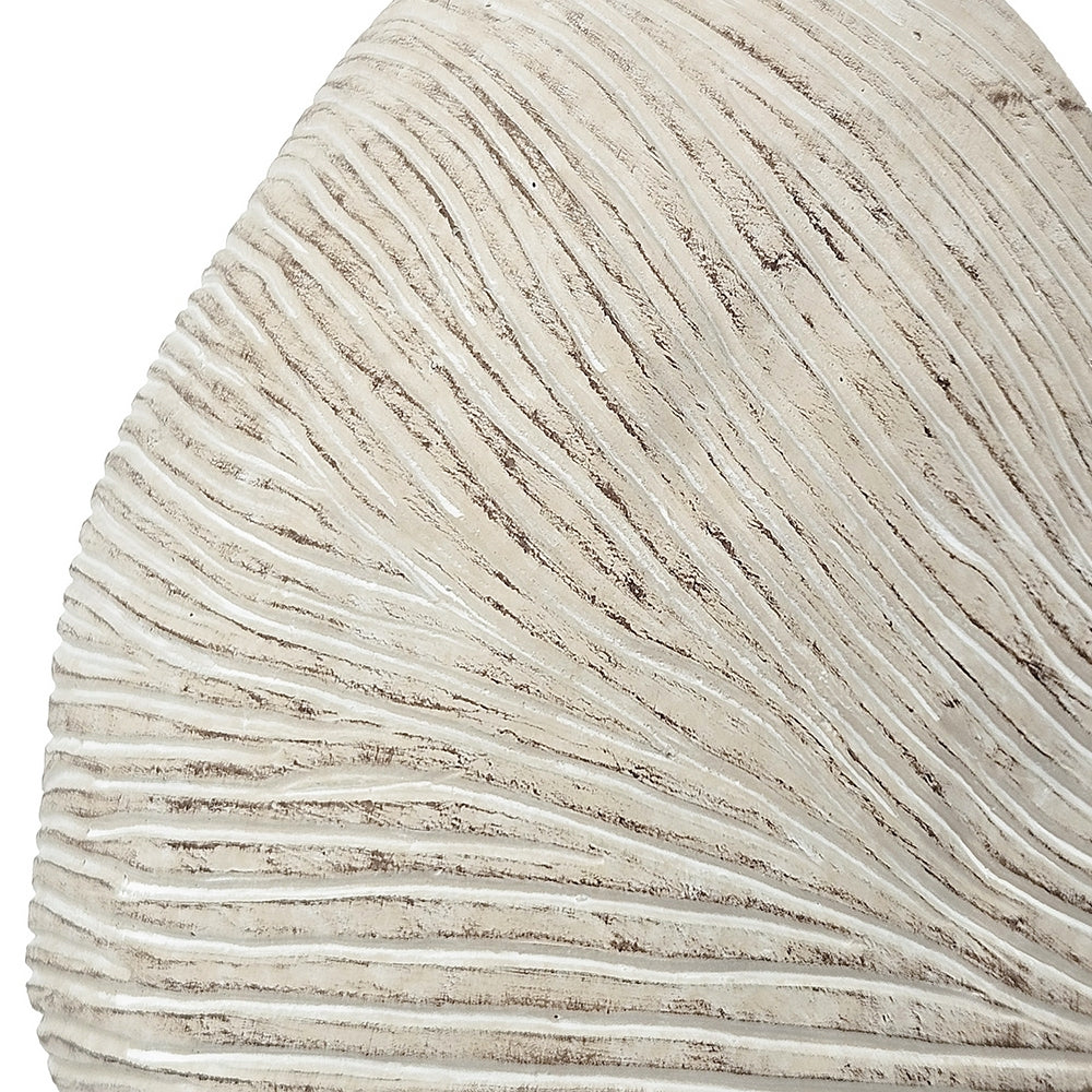 11.5x6.7x7.7" Sand and Cement Nautilus Shell Planter with Textured Beige Finish