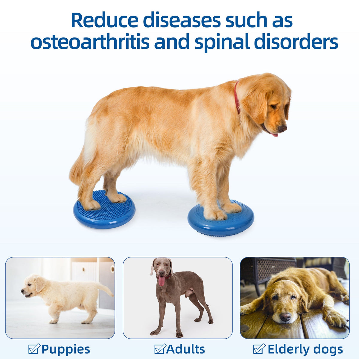 Thickened PVC Pet Balance Disc & Training Pad