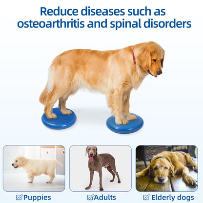 Thickened PVC Pet Balance Disc & Training Pad