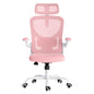 Ergonomic Office Chair with Headrest and Lumbar Support