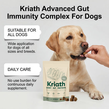 Kriath Dog Intestinal Care Complex Supplement For Nutritional Support, Softening Hair, Daily Protection, And Convenient Feeding