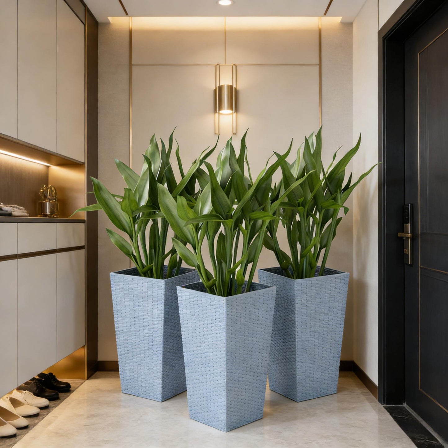 Plants Box Set of 3 Tall Planters