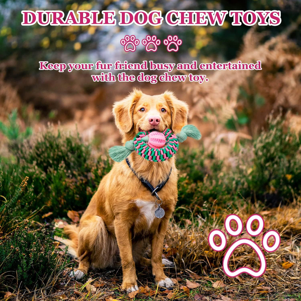 Superior Dog Chew Toy For Interaction, Made Of Durable Nylon And Natural Rubber Perfect For Teeth Cleaning, Exercise  And Stress Relief   Animal Lover's Essential Gift