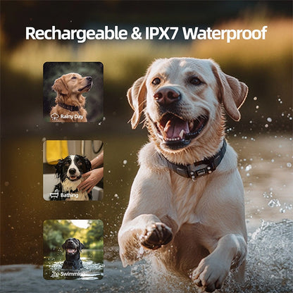 Smart GPS Wireless Fence Dog Training Collar