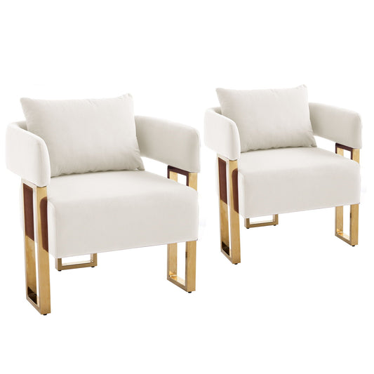 Modern Classic Decorative Chair with Teddy Fleece Upholstery