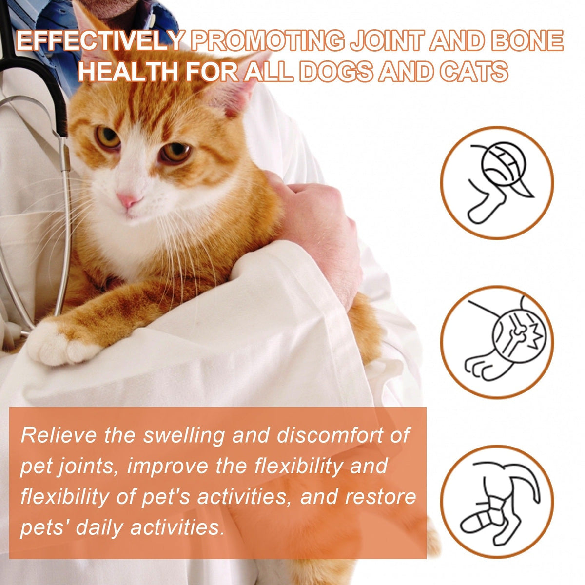 Yegbong Pet Joint Care Spray Pet Joint Care Spray For Relieving Discomfort In Pet Joints And Muscle Weakness