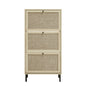 Modern Rattan 3 Door Shoe Rack Cabinet For Entryway