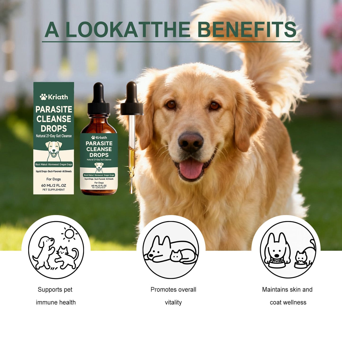Kriath Dog Intestinal Essential Oil Drops Gentle Formula Comfortable And Nourishing Oral Drops For Pets' Digestive Health