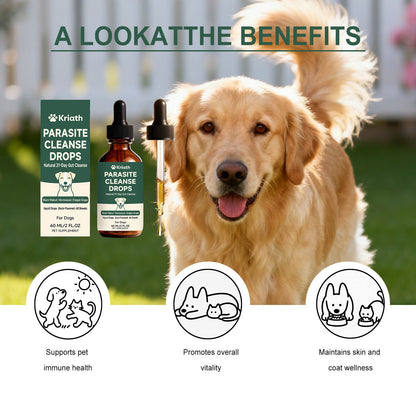Kriath Dog Intestinal Essential Oil Drops Gentle Formula Comfortable And Nourishing Oral Drops For Pets' Digestive Health