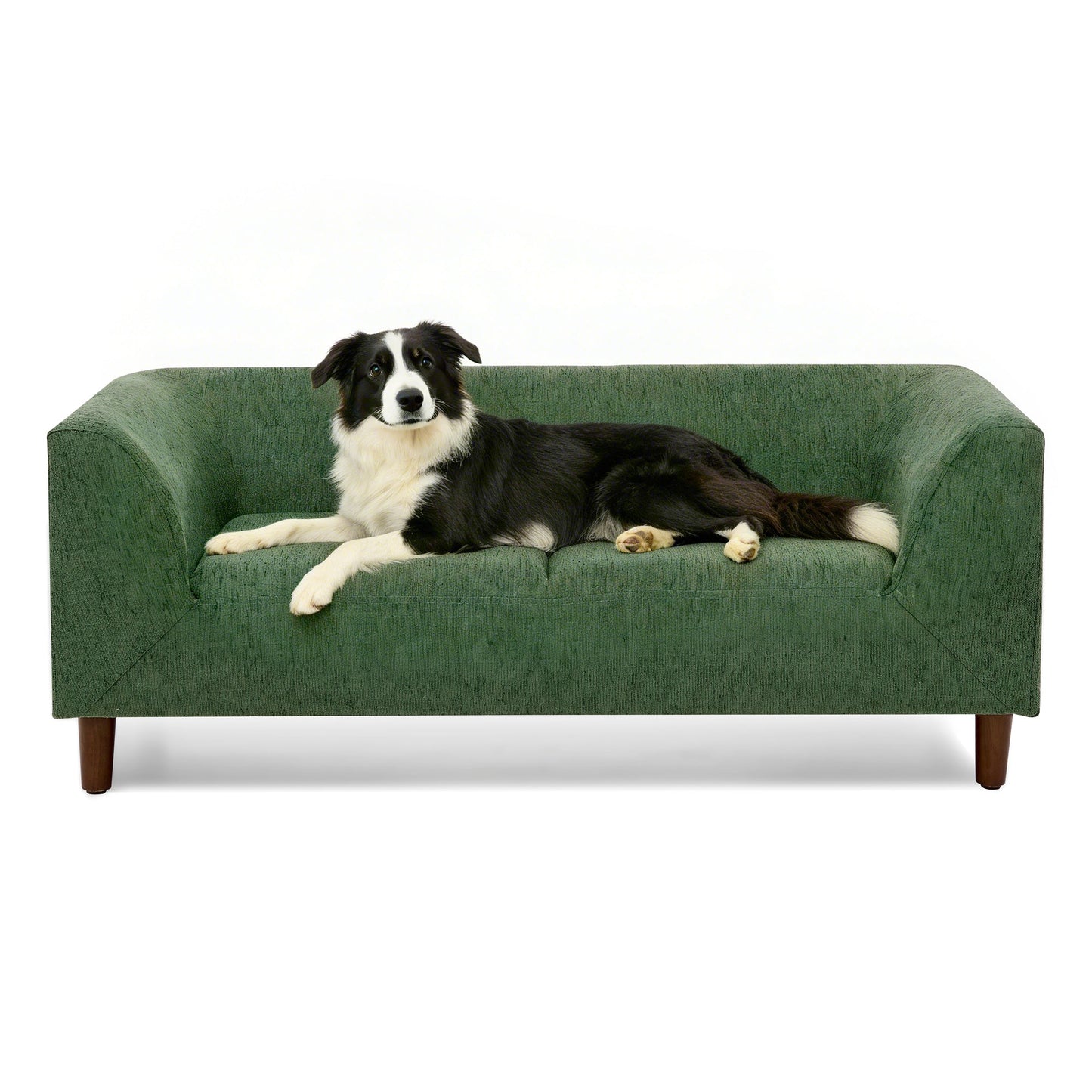Pet Sofa with Backrest and Armrests - Modern Olive