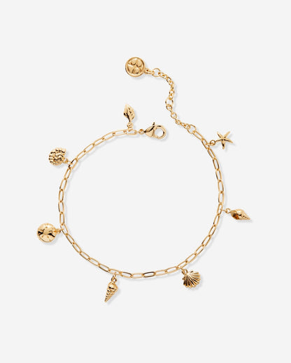 Sea Seeker Charm Bracelet