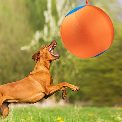 Giant Dog Ball Toy