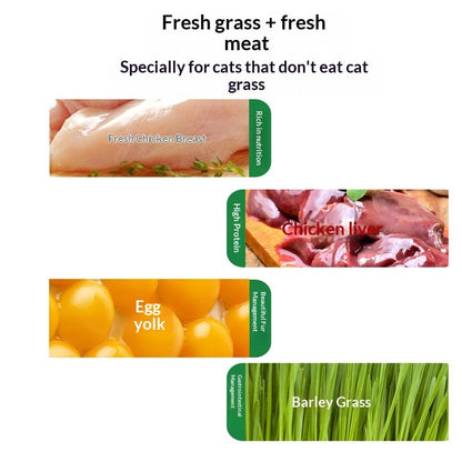 Cat Food Snacks Daily Freeze-Dried Hairball Remedy