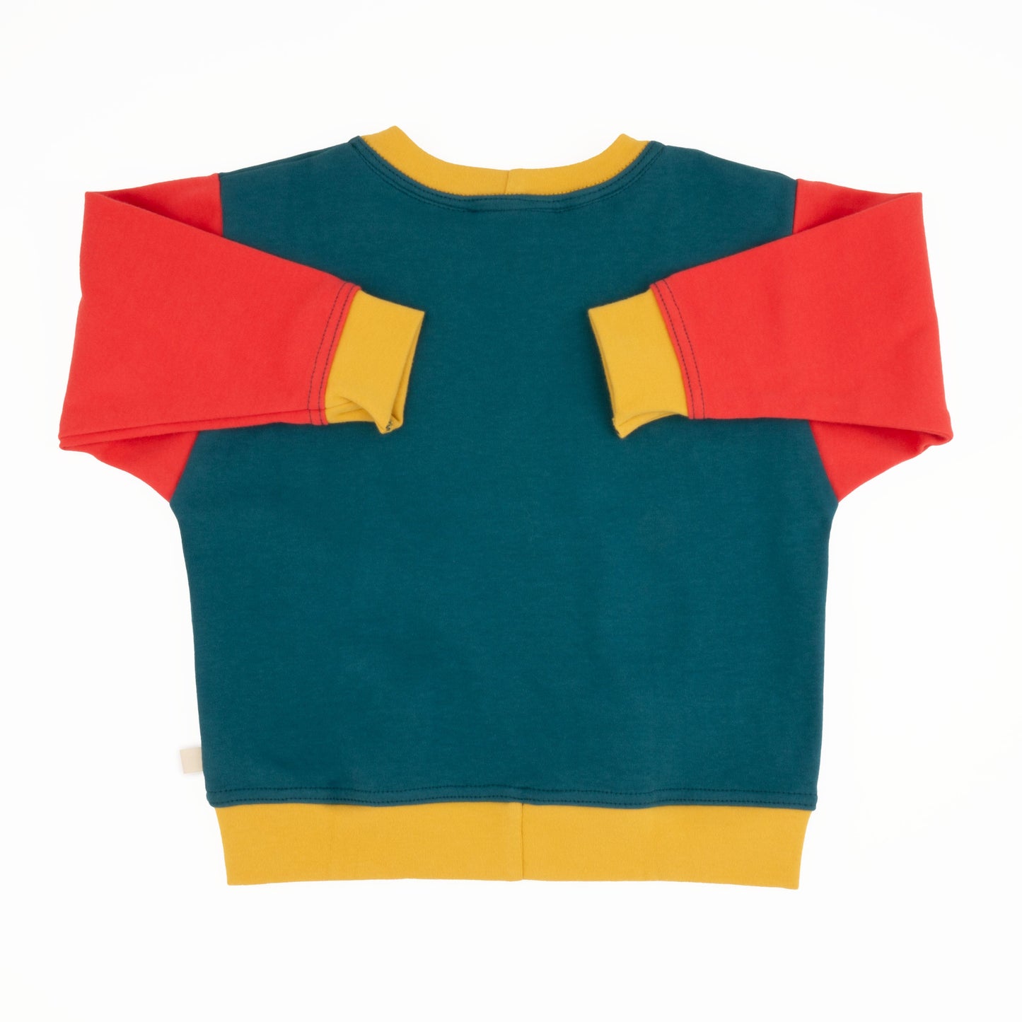 Baby Colorblock Sweatshirt