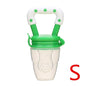 Baby Fruit Feeder Pacifier - # BAGE61310009