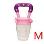 Baby Fruit Feeder Pacifier - # BAGE61310009