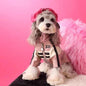 Dog Autumnwinter Clothing Motorcycle Jacket Coat