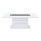 Ariya - Dining Table