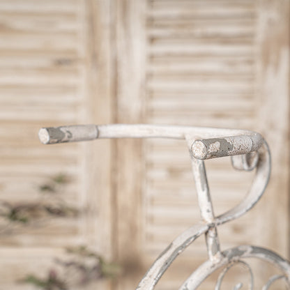 Rustic Bicycle Metal Wire Wall Planter Basket