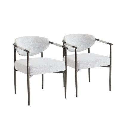 Modern Dining Chairs Set of 2 with Bronze Iron Frame