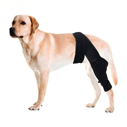 Dog Knee Brace For Torn ACL Hind Leg, Comfortable And Adjustable Support Brace With Two Stabilizer, Dog Leg Braces For Back Leg With Extra Support, Arthritis Relief And Surgery Recovery