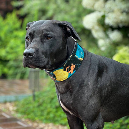 The BCW Limited Collar
