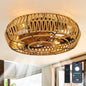 19" Caged Ceiling Fan with Lights and Remote