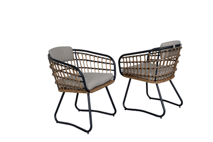 Outdoor Wicker Dining Chairs Set of 2 with Cushions