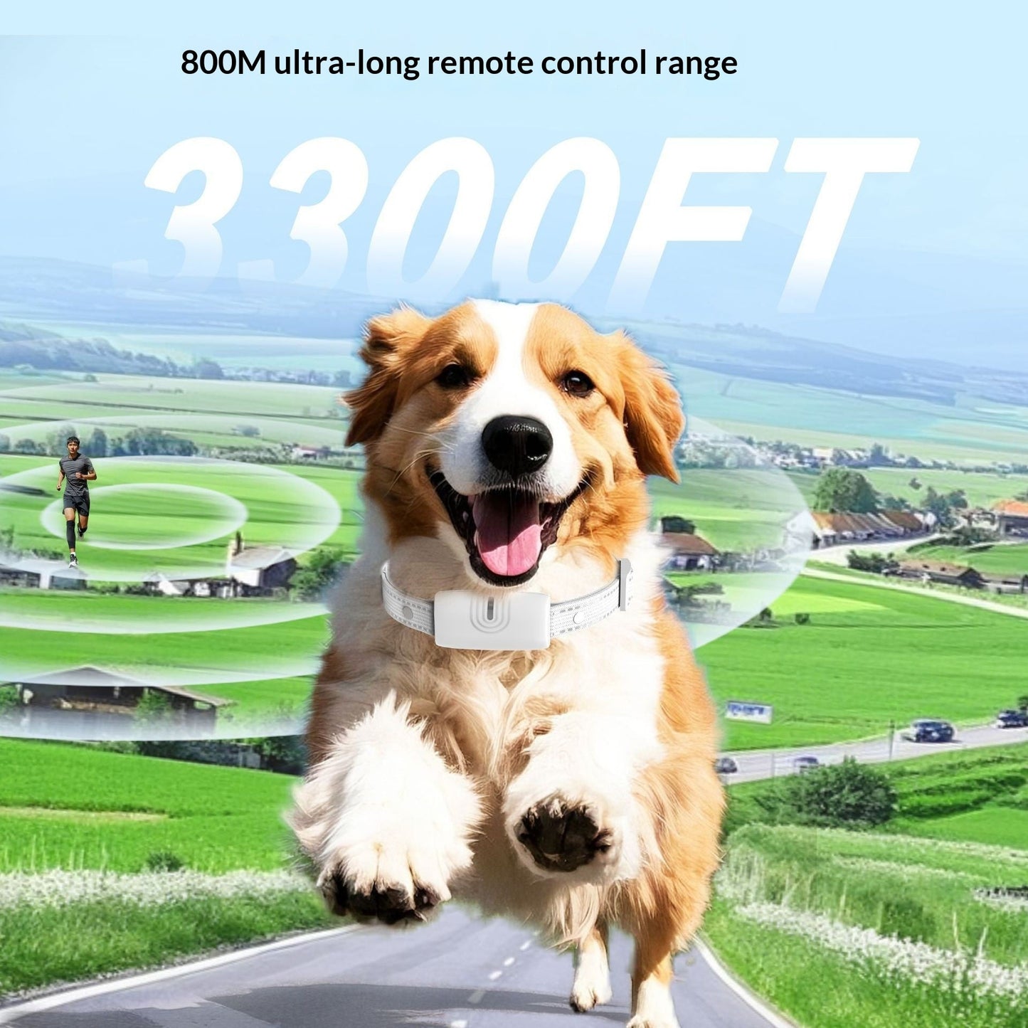 Rechargeable Waterproof Long-Range Remote Dog Training Collar
