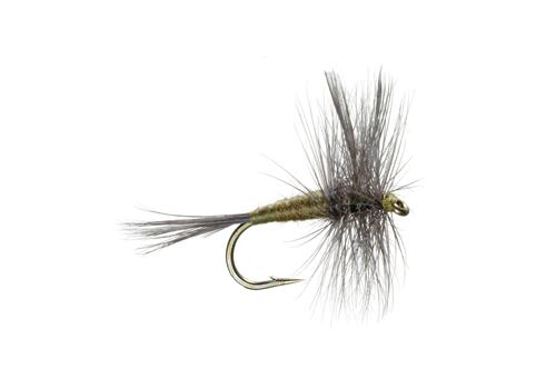 Basics Collection - Classic Dry Fly Assortment - 10 Flies - Sizes 12-16