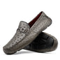 Bolonia Gray