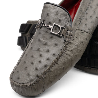 Bolonia Gray