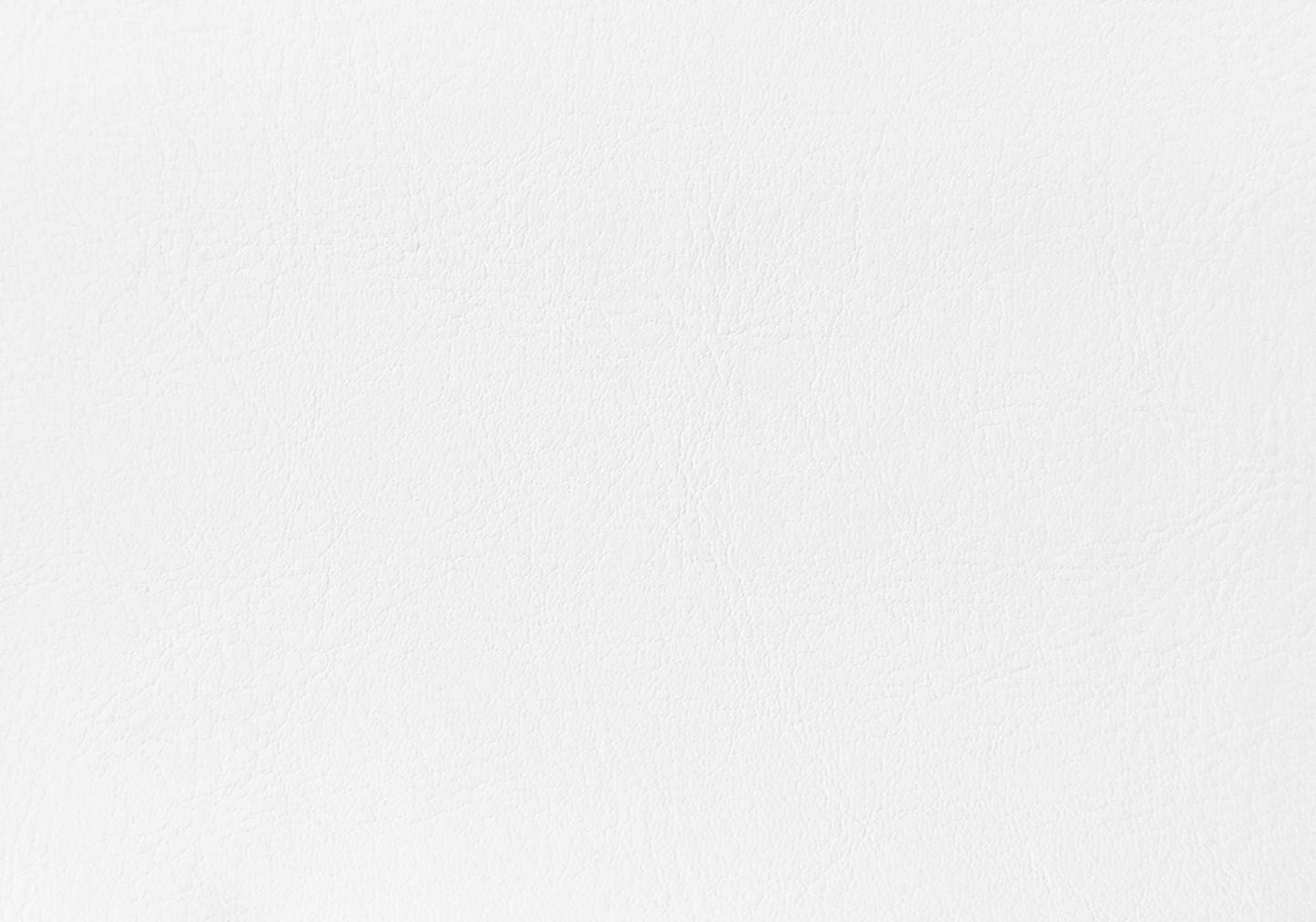 Queen Size Upholstered Bed Headboard - White, Transitional