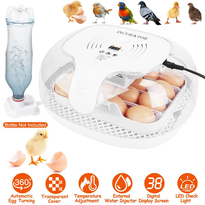 GBruno 16 Eggs Incubator for Hatching