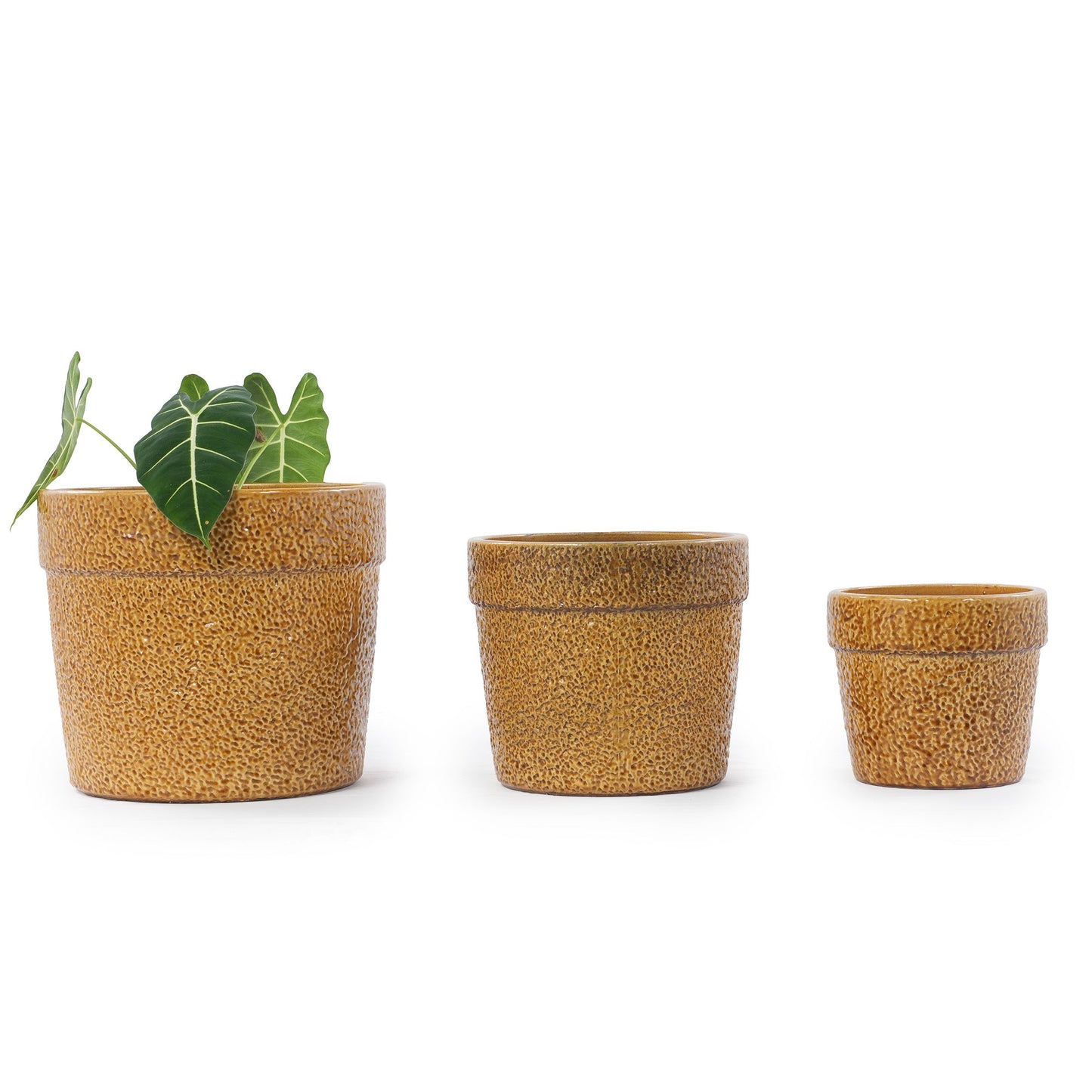 Handmade Ceramic Planter Set of 3