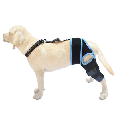 Dog Hind Leg Knee Brace Assist Strap