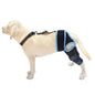 Dog Hind Leg Knee Brace Assist Strap