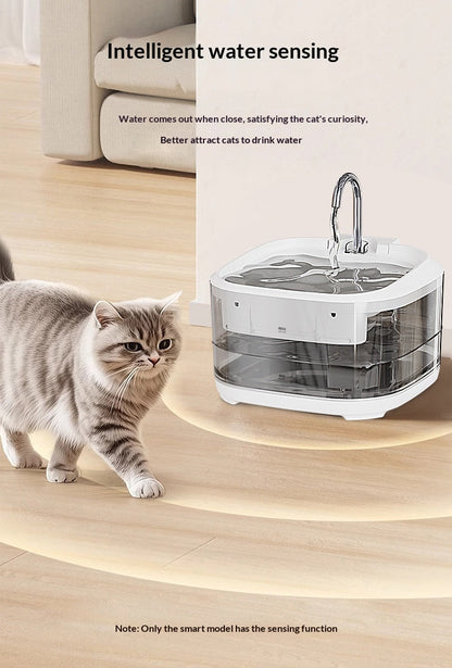 Large Capacity Fully Transparent Automatic Circulating Filtered Pet Water Fountain