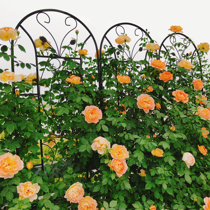 4 Pack Metal Garden Trellis
