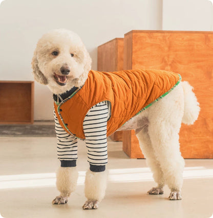 Thermal Protection Labrador Golden Retriever Samoyed Premium Pet Clothing